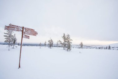 Ski expedition in Pallas Yllastunturi National Park , Lapland, Finland