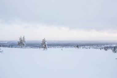 Winter landscape in Pallas Yllastunturi National Park, Lapland, northern Finland.