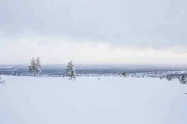 Winter Landscape Pallas Yllastunturi National Park Lapland Northern Finland — стоковое фото