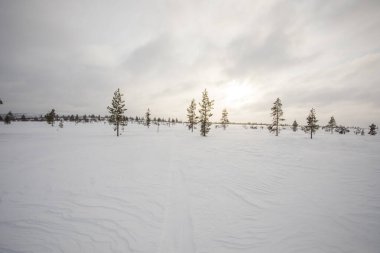 Pallas Yllastunturi Ulusal Parkı, Laponya, Finlandiya 'da kış manzarası