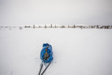 Ski expedition in Pallas Yllastunturi National Park, Lapland, northern Finland.