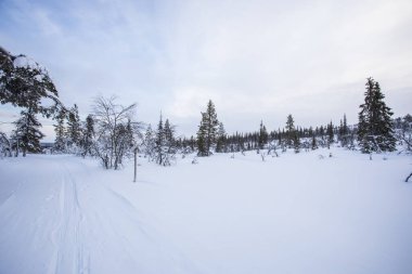Winter landscape in Pallas Yllastunturi National Park, Lapland, northern Finland.