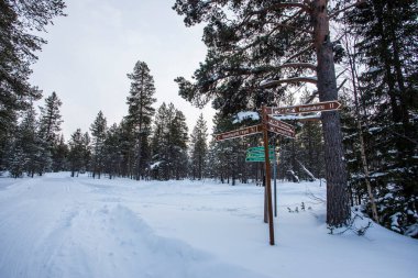Ski expedition in Pallas Yllastunturi National Park , Lapland, Finland