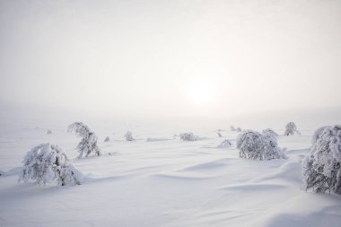 Winter landscape in Pallas Yllastunturi National Park, Lapland, Finland