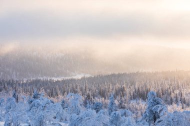 Winter landscape in Pallas Yllastunturi National Park, Lapland, northern Finland.