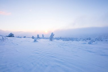 Winter landscape in Pallas Yllastunturi National Park, Lapland, northern Finland.