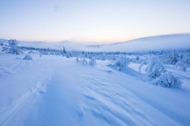 Pallas Yllastunturi Ulusal Parkı, Laponya, Finlandiya 'da kış manzarası