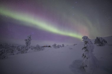 Northern lights in Pallas Yllastunturi National Park, Lapland, northern Finland