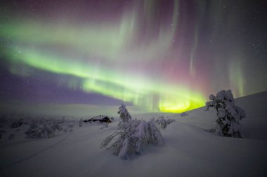 Northern lights in Pallas Yllastunturi National Park, Lapland, northern Finland