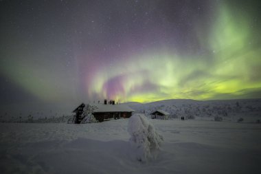 Northern lights in Pallas Yllastunturi National Park, Lapland, northern Finland