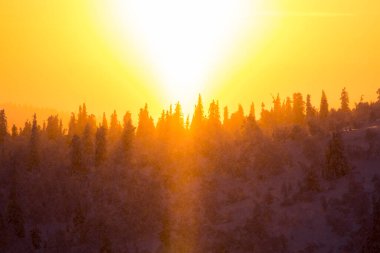 Pallas Yllastunturi Ulusal Parkı, Laponya, Finlandiya 'da kış günbatımı
