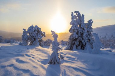 Winter sunset in Pallas Yllastunturi National Park, Lapland, northern Finland.