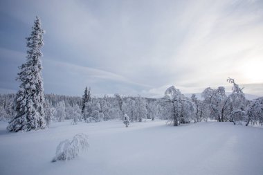 Winter landscape in Pallas Yllastunturi National Park, Lapland, northern Finland.