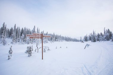 Ski expedition in Pallas Yllastunturi National Park , Lapland, Finland