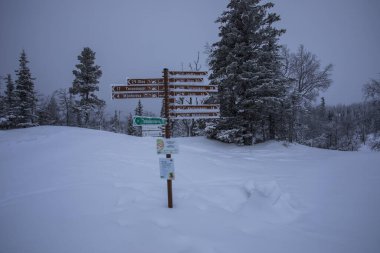 Ski expedition in Pallas Yllastunturi National Park, Lapland, northern Finland.