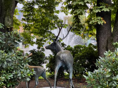 Oslo, Norveç; 18 Eylül 2023: Oslo 'da sonbahar manzarası Norveç' te yağmurlu bir gün