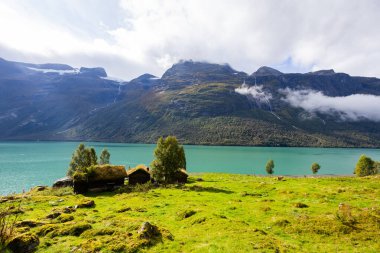 Norveç 'in güneyindeki Lovatnet Gölü Vadisi' nde geleneksel evler Avrupa 'da