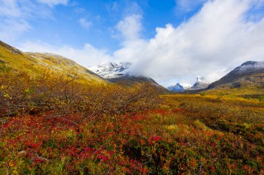 Norveç 'in güneyindeki Trollstigen yolunda sonbahar manzarası
