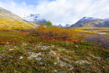 Norveç 'in güneyindeki Trollstigen yolunda sonbahar manzarası