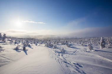 Winter landscape in Pallas Yllastunturi National Park, Lapland, northern Finland.