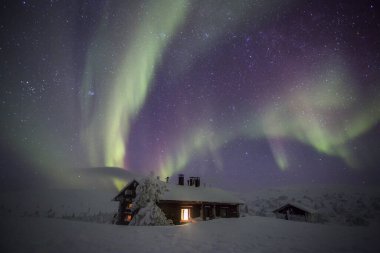Northern lights in Pallas Yllastunturi National Park, Lapland, northern Finland
