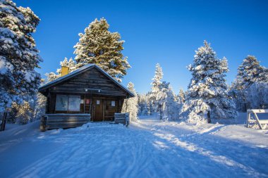 Ski expedition in Pallas Yllastunturi National Park, Lapland, northern Finland.