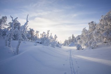 Winter landscape in Pallas Yllastunturi National Park, Lapland, northern Finland.