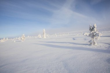 Winter landscape in Pallas Yllastunturi National Park, Lapland, northern Finland.