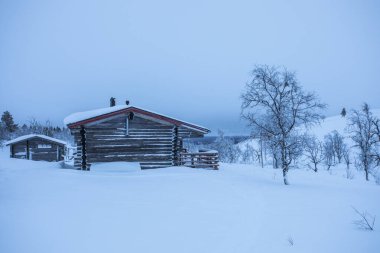 Pallas Yllastunturi Milli Parkı, Laponya, Finlandiya 'da kayak gezisi