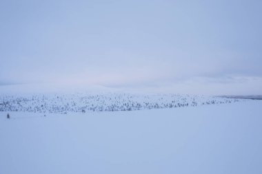Winter landscape in Pallas Yllastunturi National Park, Lapland, northern Finland.