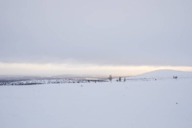 Pallas Yllastunturi Ulusal Parkı, Laponya, Finlandiya 'da kış manzarası