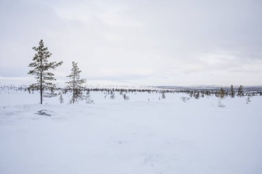 Winter landscape in Pallas Yllastunturi National Park, Lapland, northern Finland.