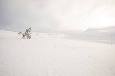 Winter landscape in Pallas Yllastunturi National Park, Lapland, northern Finland.