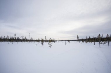 Winter landscape in Pallas Yllastunturi National Park, Lapland, northern Finland.