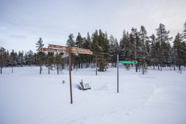 Ski expedition in Pallas Yllastunturi National Park, Lapland, northern Finland.
