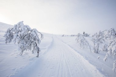 Winter landscape in Pallas Yllastunturi National Park, Lapland, northern Finland.