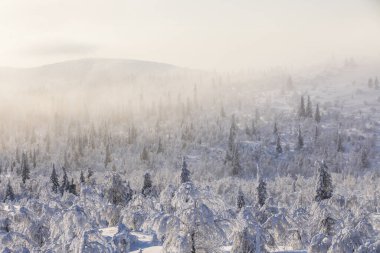 Winter landscape in Pallas Yllastunturi National Park, Lapland, northern Finland.