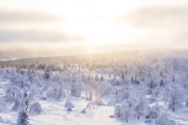 Winter landscape in Pallas Yllastunturi National Park, Lapland, northern Finland.
