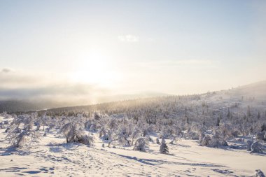 Winter landscape in Pallas Yllastunturi National Park, Lapland, northern Finland.