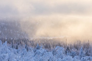 Pallas Yllastunturi Ulusal Parkı, Laponya, Finlandiya 'da kış manzarası