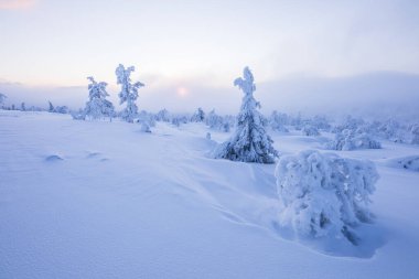 Winter landscape in Pallas Yllastunturi National Park, Lapland, northern Finland.