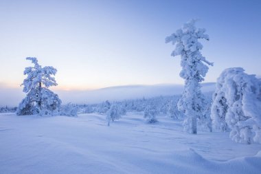 Winter landscape in Pallas Yllastunturi National Park, Lapland, northern Finland.
