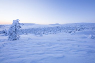 Winter landscape in Pallas Yllastunturi National Park, Lapland, northern Finland.