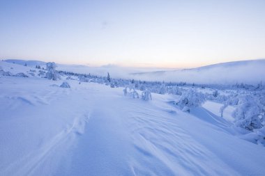 Winter landscape in Pallas Yllastunturi National Park, Lapland, northern Finland.