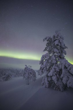 Northern lights in Pallas Yllastunturi National Park, Lapland, northern Finland