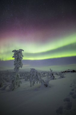 Northern lights in Pallas Yllastunturi National Park, Lapland, northern Finland