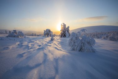 Pallas Yllastunturi Ulusal Parkı, Laponya, Finlandiya 'da kış günbatımı
