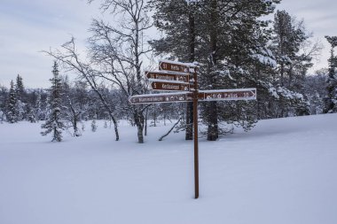 Pallas Yllastunturi Milli Parkı, Laponya, Finlandiya 'da kayak gezisi