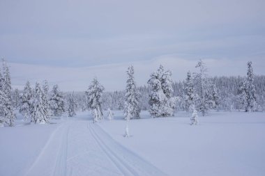 Winter landscape in Pallas Yllastunturi National Park, Lapland, northern Finland.