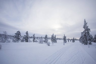 Winter landscape in Pallas Yllastunturi National Park, Lapland, northern Finland.